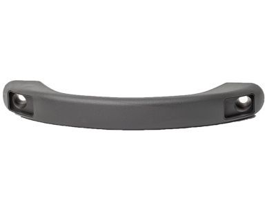 Ford 4L5Z-1031406-AAB Grip Handle