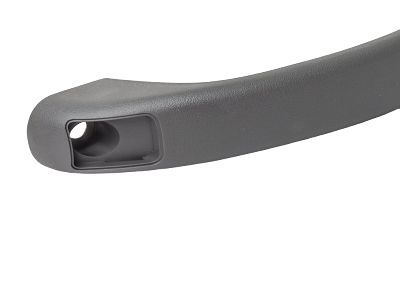 Ford 4L5Z-1031406-AAB Grip Handle