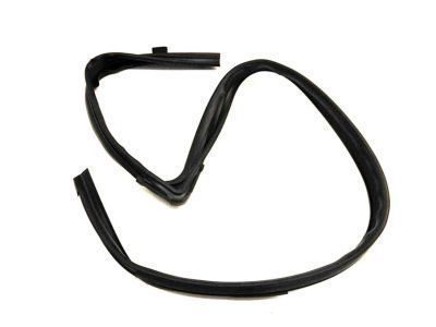 Ford 8S4Z-5421597-C Run Weatherstrip, Front Driver Side
