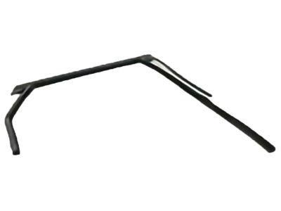 Ford F4CZ5825766A Channel - Glass Run Passenger Side