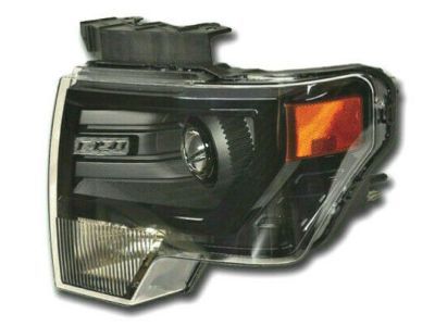 Ford DL3Z-13008-FB Headlamp Assembly, Black, Front Driver Side