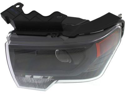Ford DL3Z-13008-FB Headlamp Assembly, Black, Front Driver Side