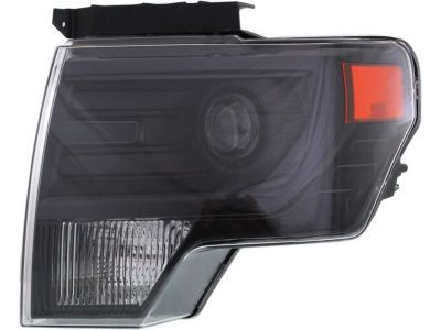 Ford DL3Z-13008-FB Headlamp Assembly, Black, Front Driver Side