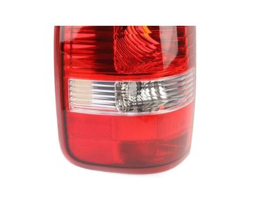 Ford 5L3Z-13405-CACP Lamp Assy