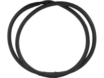 Ford GS7Z-5420709-A Weatherstrip Assembly - Door Opening, Driver Side