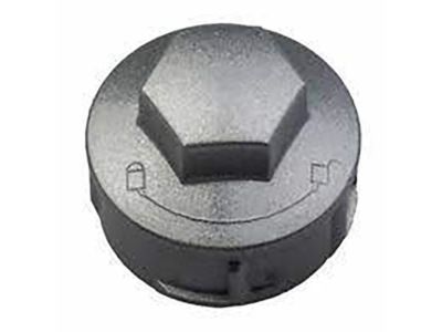 Ford 6S4Z-1K011-A Cap - Wheel Nut