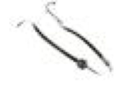 Ford AL3Z-3A719-A Hose Assembly