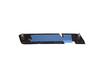 Ford CL3Z-9942528-A Name Plate