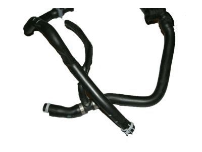 Ford DV6Z-8075-B Overflow Hose
