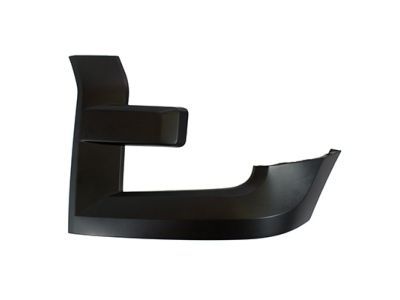 Ford FL3Z-17C755-BPTM Trim Molding