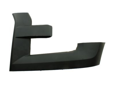 Ford FL3Z-17C755-BPTM Trim Molding