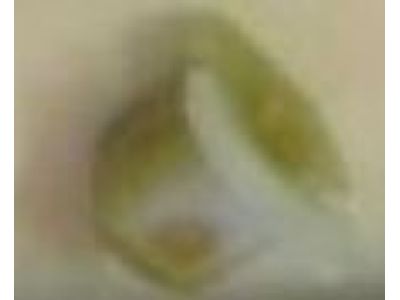 Lincoln -W710850-S300 Release Handle Nut