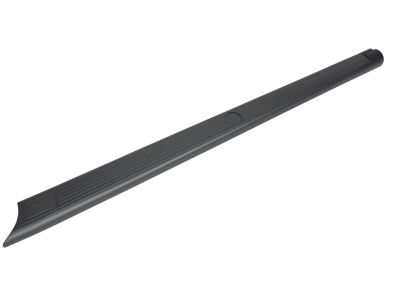 Ford F65Z-99291A41-BAA Moulding, Driver Side