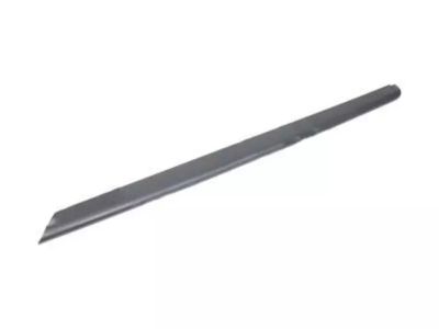 Ford F65Z-99291A41-BAA Moulding, Driver Side