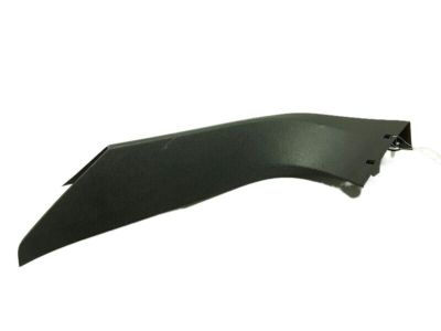 Ford FT4Z-5842410-AA Side Trim, Rear Passenger Side