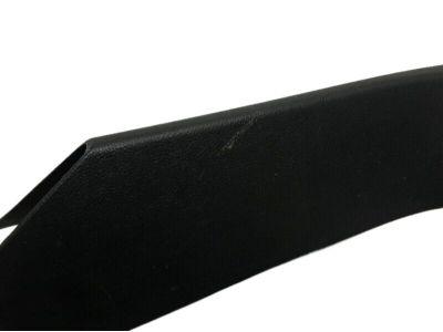 Ford FT4Z-5842410-AA Side Trim, Rear Passenger Side