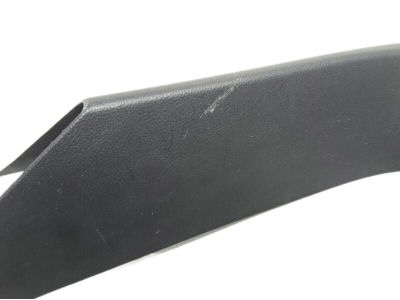 Ford FT4Z-5842410-AA Side Trim, Rear Passenger Side