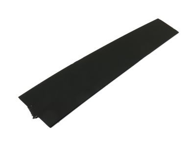 Ford Taurus Door Moldings - CG1Z-5420555-CB