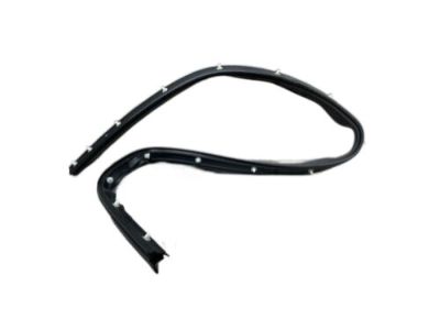 Ford CK4Z-1551400-F Upper Weatherstrip, Passenger Side