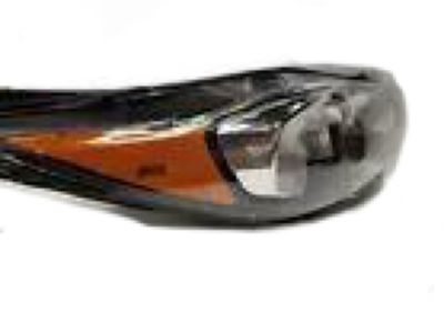 Ford D2BZ-13008-H Headlamp Assembly, Driver Side