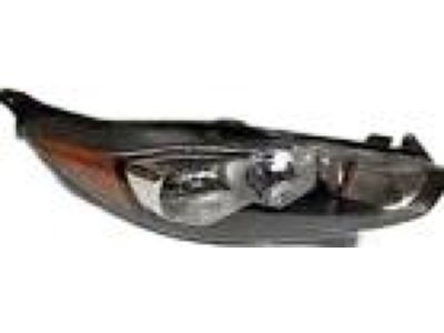 Ford D2BZ-13008-H Headlamp Assembly, Driver Side