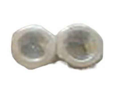 -N800937-S437 Ford Nut - Adjusting Screw Product Photo 1 of 1