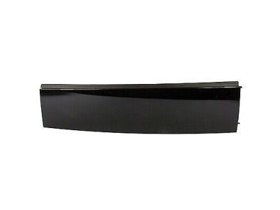 Ford FL3Z-16255A34-BA Moulding
