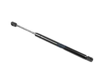 Lincoln 6W1Z-16C826-A Lift Assy - Gas
