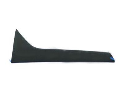 Ford Transit Connect Door Moldings - DT1Z-1720939-AB