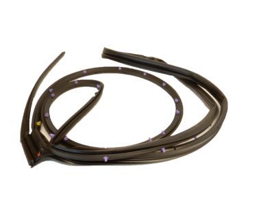 Ford 5F9Z-7425324-AC Door Weatherstrip, Rear Outer Passenger Side