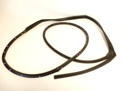 2008 Ford Taurus X Door Seal - 5F9Z-7425324-AC