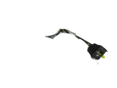 Ford F1TZ-13411-F Socket & Wire, Rear