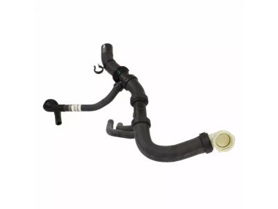 Ford HL3Z-8286-C Hose - Radiator, Lower
