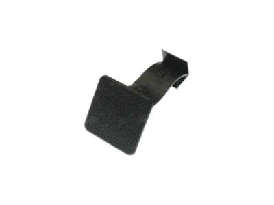 Ford 6E5Z-54454A48-AAA Handle, Rear