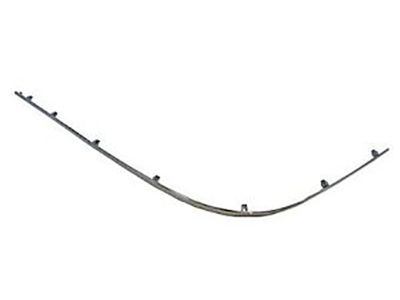 Ford 3W1Z-17C830-AA Molding Strip, Passenger Side