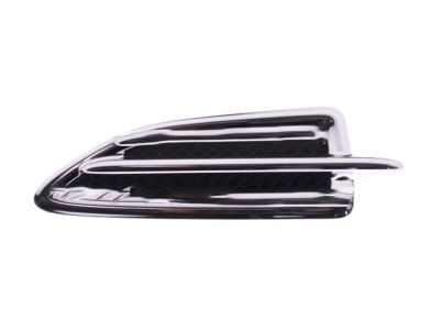 Ford DJ5Z-16228-BB Molding - Front Body Panel