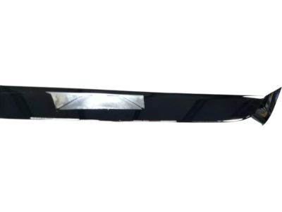 Ford AE5Z-8200-BCP Grille - Radiator