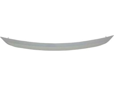 Ford AE5Z-8200-BCP Grille - Radiator