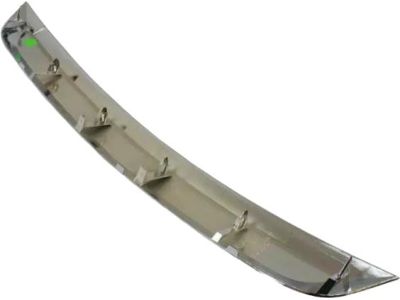 Ford AE5Z-8200-BCP Grille - Radiator