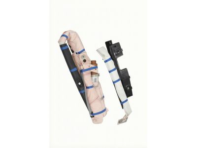 FR3Z-63042D94-D Ford Inflator Curtain, Passenger Side Product Photo 2 of 3