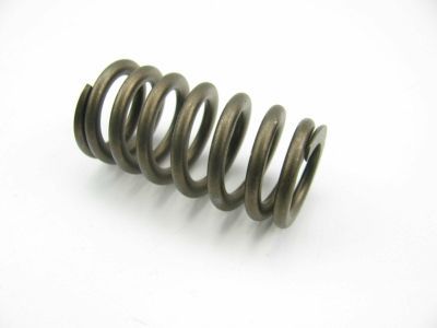 Mercury XL3Z-6513-AA Spring - Valve