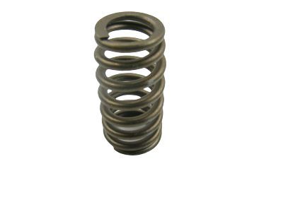 Mercury XL3Z-6513-AA Spring - Valve