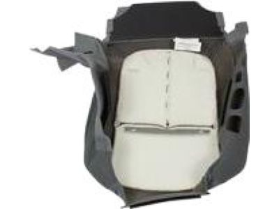 Ford BL3Z-1562900-CB Cover Assembly - Seat Cushion, Passenger Side