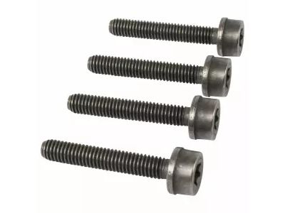 Ford -W713106-S300 Bolt