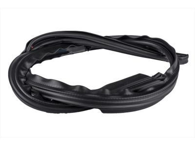 Ford 9C3Z-2651223-A Weatherstrip, Driver Side