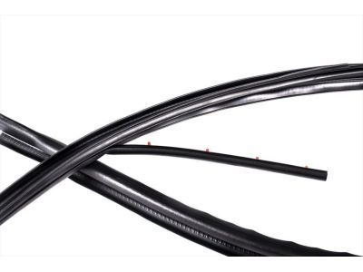 Ford 9C3Z-2651223-A Weatherstrip, Driver Side