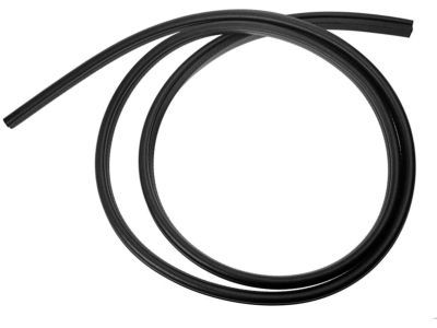Mercury Capri Weather Strip - F3ZZ-6120708-A