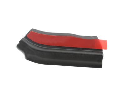 Ford 8L3Z-1520521-A Front Weatherstrip, Outer Driver Side