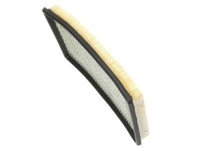 Ford E6AZ-9601-B Air Filter