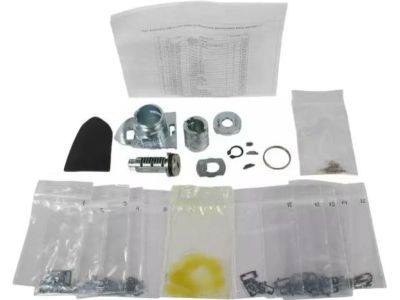 Ford DS7Z-5421991-D Cylinder Assembly - Lock, Driver Side